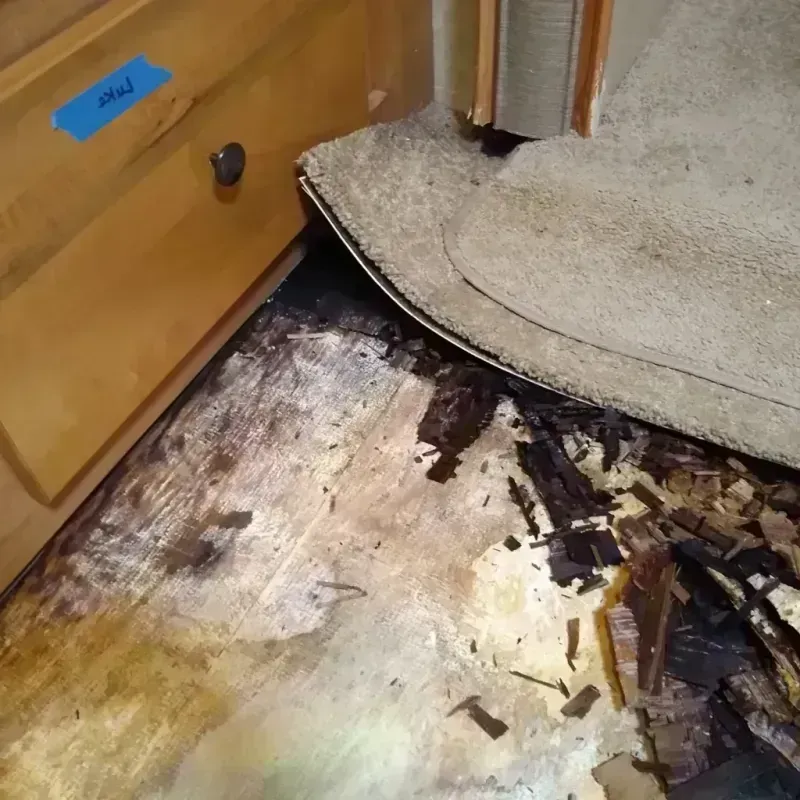 Wood Floor Water Damage in Mecca, CA